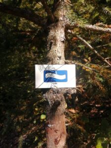 This image has an empty alt attribute; its file name is IMG_20200921_131458-768x1024.jpg